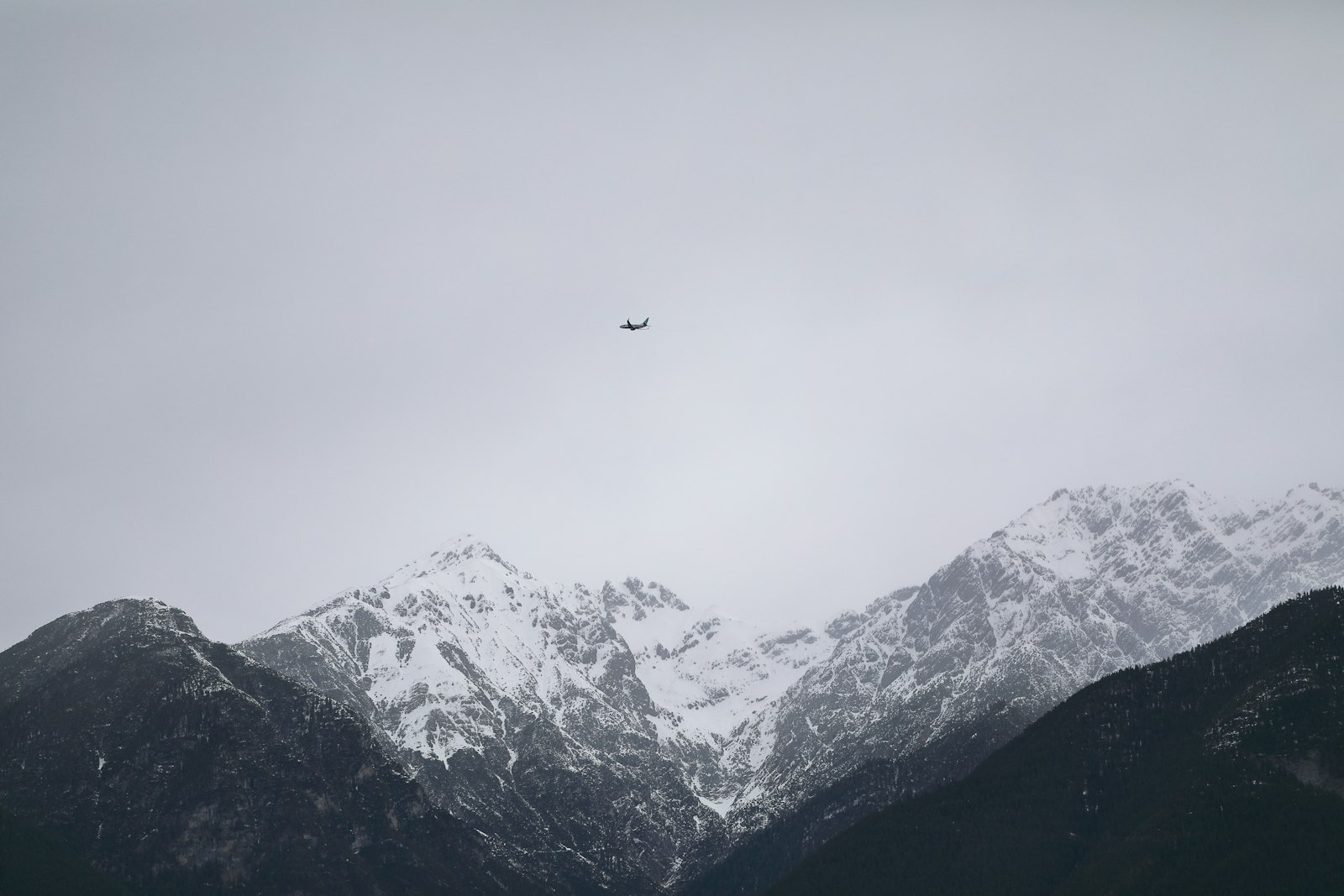 Vogel über verschneiten Alpengipfeln – Panorama Nordkette