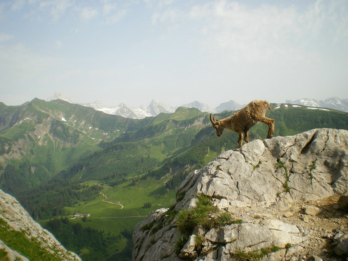 Beste Reisezeit
